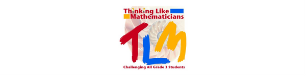 External Evaluation of the Thinking Like Mathematicians Project